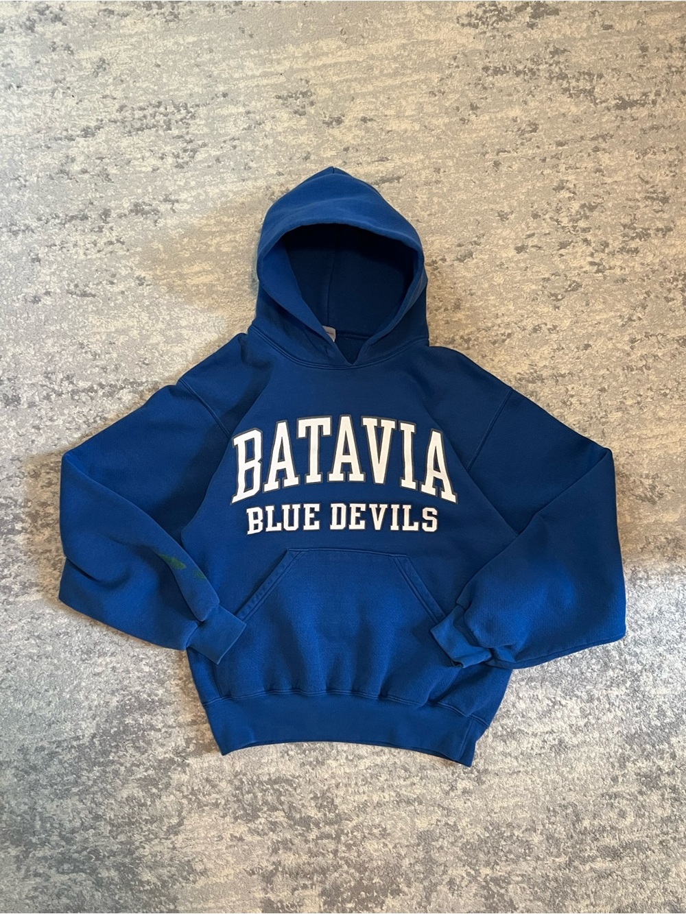 Vintage Batavia school hoodie